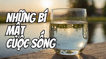 Chiếc Cốc Đầy Nước Và Những Bài Học Về Cuộc Sống | PTTD