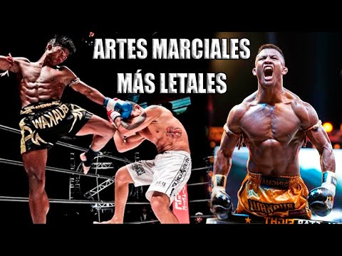 TOP 15 ARTES MARCIALES MAS LETALES DEL MUNDO