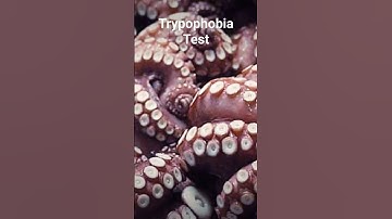 Trypophobia Test 😳😨🤮 #trypophobia #phobia #scary #scarystories