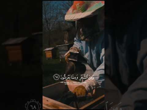 و أ و ح ى ر ب ك إ ل ى ٱلن ح ل أ ن ٱت خ ذ ی م ن ٱل ج ب ال ب ی وت ا النحل ٦٨ اكسبلور