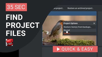 Lightworks Tutorial: How to Find Project or Saved Files in Lightworks