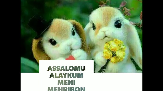 Stol ustidagi talaba bilan jinsiy aloqa Semiz odamlar qanday sikishini suratlarda korsating.