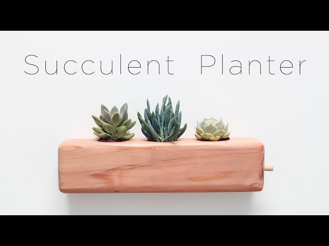 DIY Succulent Planter 