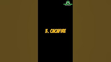 Take Control: Learn the Top 5 Termux Commands for Android