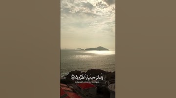 فَلَوْلَا إِذَا بَلَغَتِ الْحُلْقُومَ | القارئ أحمد خضر