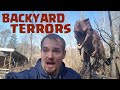 Backyard Terrors Dinosaur Park Built by One Man in His Back Yard