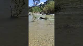 Rivière de montagne à Draguignan.