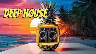 The Sound Of Summer: Deep House Vibes 🍹 Resimi
