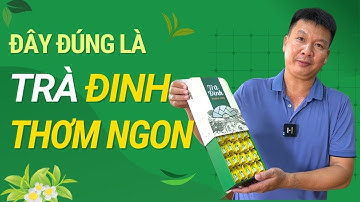 Trà Đinh Thơm Ngon Đậm Vị Tân Cương Thái Nguyên Theo Hướng Hữu Cơ Nông Nghiệp Sạch