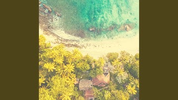 Wonderful Moods for Snowbirds