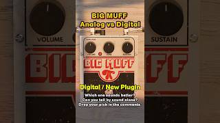 Analog Big Muff vs Digital Big Muff Plugin