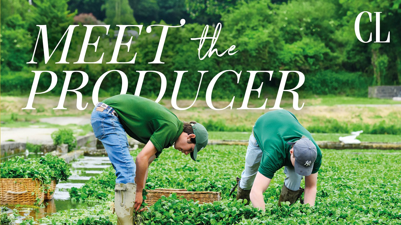 The quiet Hampshire town that goes wild for watercress | Country Living UK