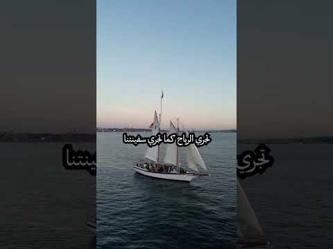 ما كل ما يتمنى المرء يدركه المتنبي