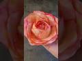 Tuto rose en papier toilette #activiteenfant #activitemanuelle #craftideas #tuto #diy #maman #deco