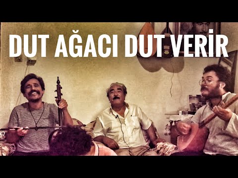 Dut Ağacı Dut Verir - Burdurlu Hafız Rıza Yağız'dan Şan Dersi | Uğur Önür & Emre Dayıoğlu & Nerit