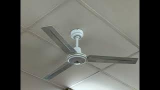 Wattmaster (Airboss) 1400mm industrial ceiling fans & 2 Arlec Classic cooling ceiling fans