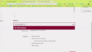 Canvas Announcments: Overview