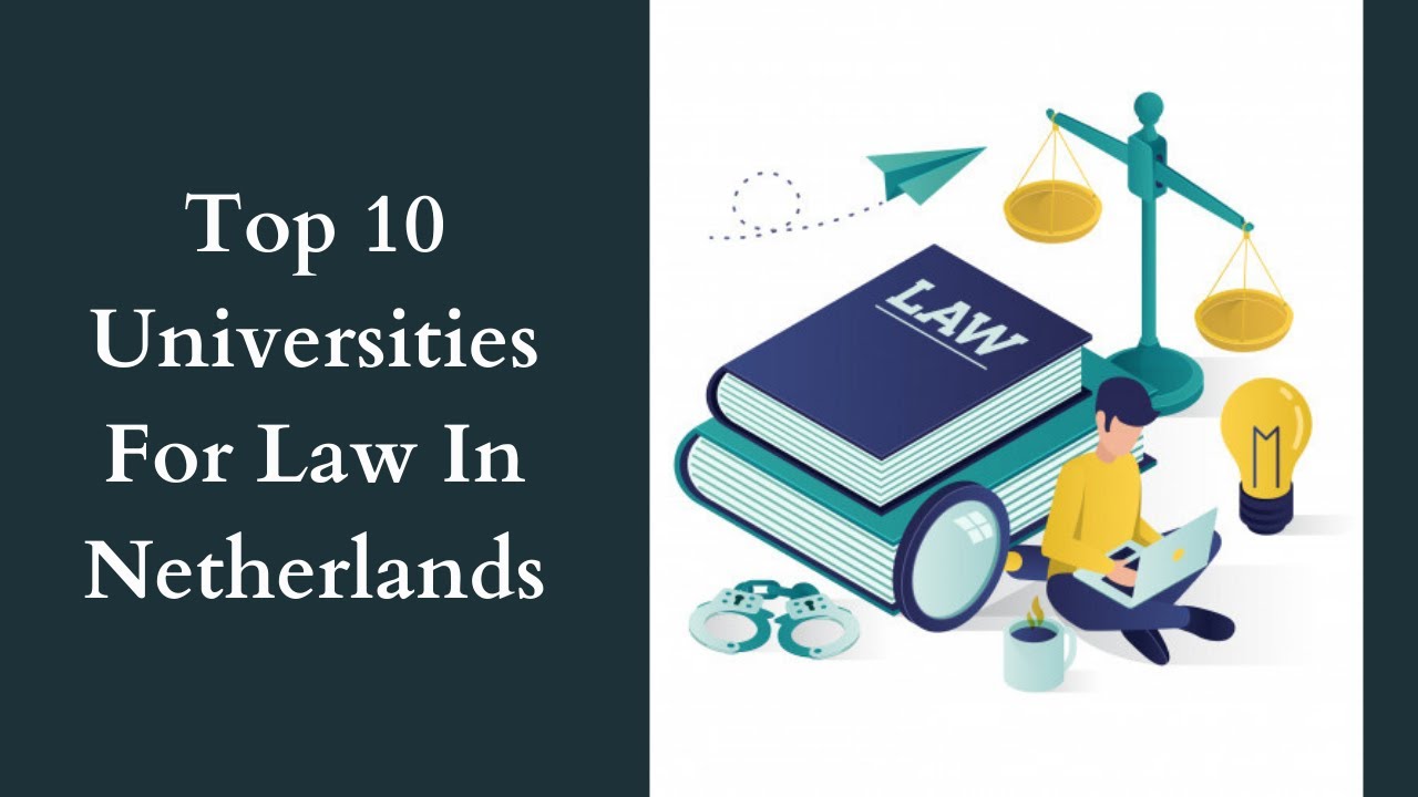 phd law in netherlands