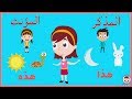 الفرق بين المذكر والمؤنث - لغة عربية - للصف الأول الإبتدائي - Arabic For kids