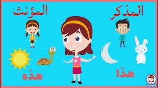 الفرق بين المذكر والمؤنث - لغة عربية - للصف الأول الإبتدائي