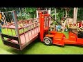 A DANGEROUS CROCODILE ON THE FARM ( RC TRACTOR ACTION ) ADVENTURE VIDEO WITH ZOO AND FARM ANIMALS