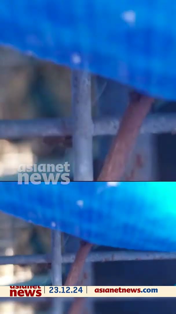 വനം വകുപ്പ് സ്ഥാപിച്ച കൂട്ടിൽ കുടുങ്ങിയ പുലിയുടെ കൂടുതൽ ദൃശ്യങ്ങൾ