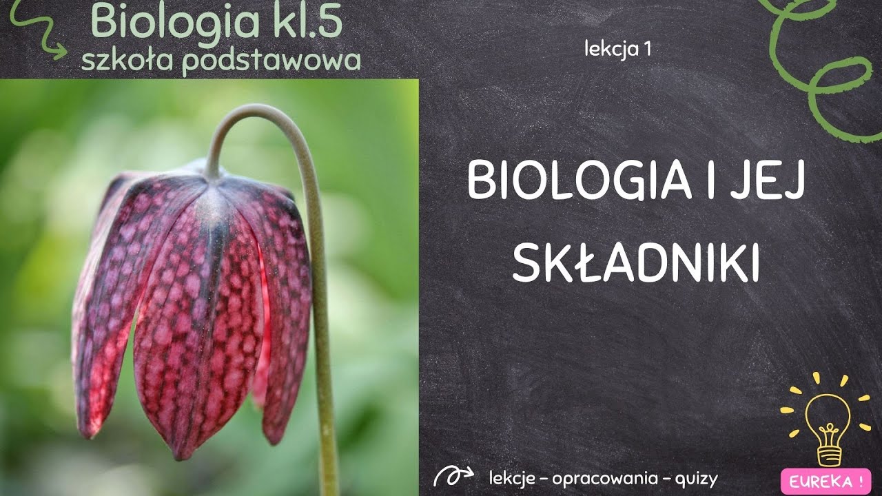 Sprawdzian Biologia Klasa 5 Nauka O Zyciu 2018 Biologia klasa 5 - lekcja 1 - Biologia jako nauka - YouTube