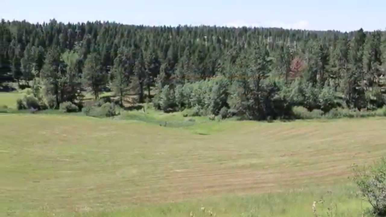 Sold The North Fork Montana Ranch For Sale YouTube