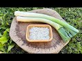 You will be cooking this delicious leek recipe over and over again! ASMR cooking video