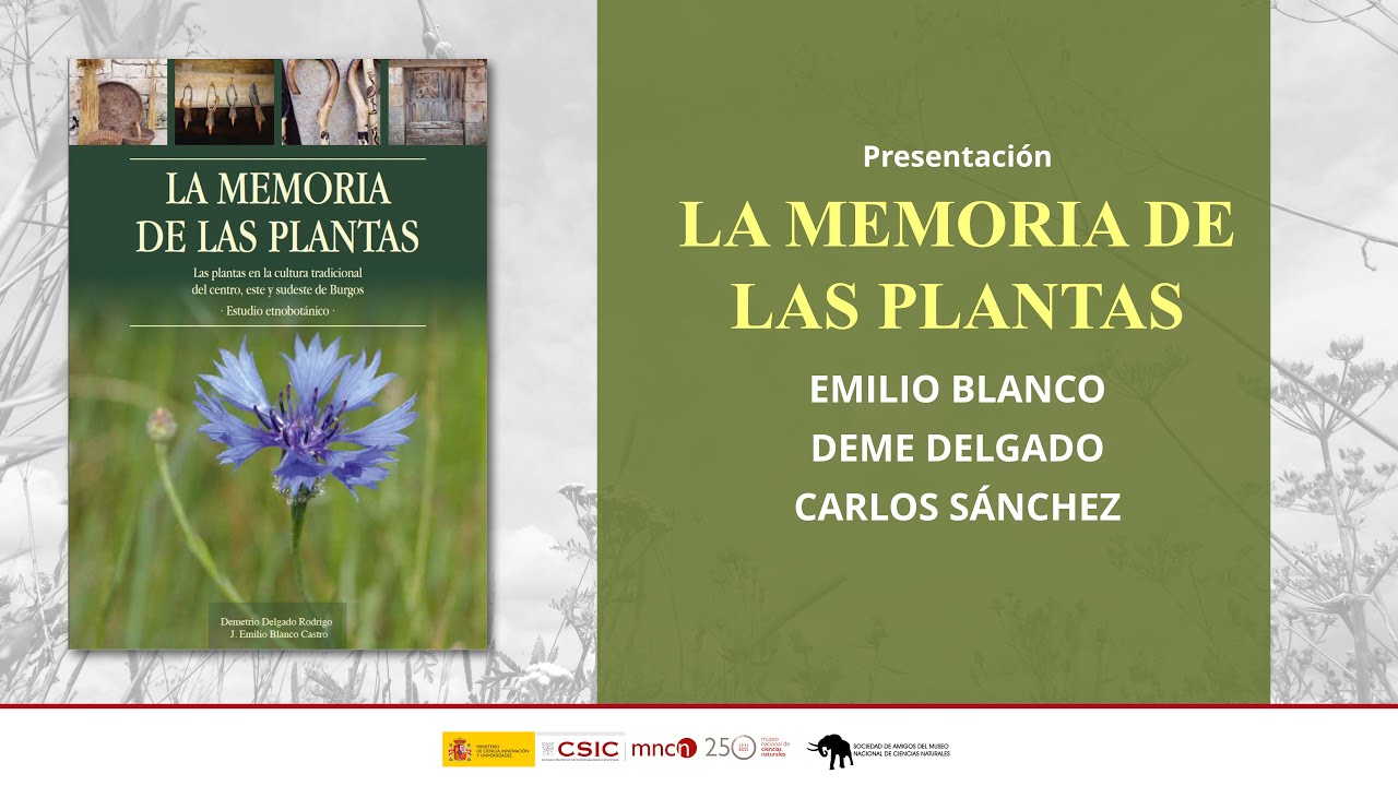 La memoria de las plantas por Emilio Blanco, Deme Delgado y Carlos Sánchez