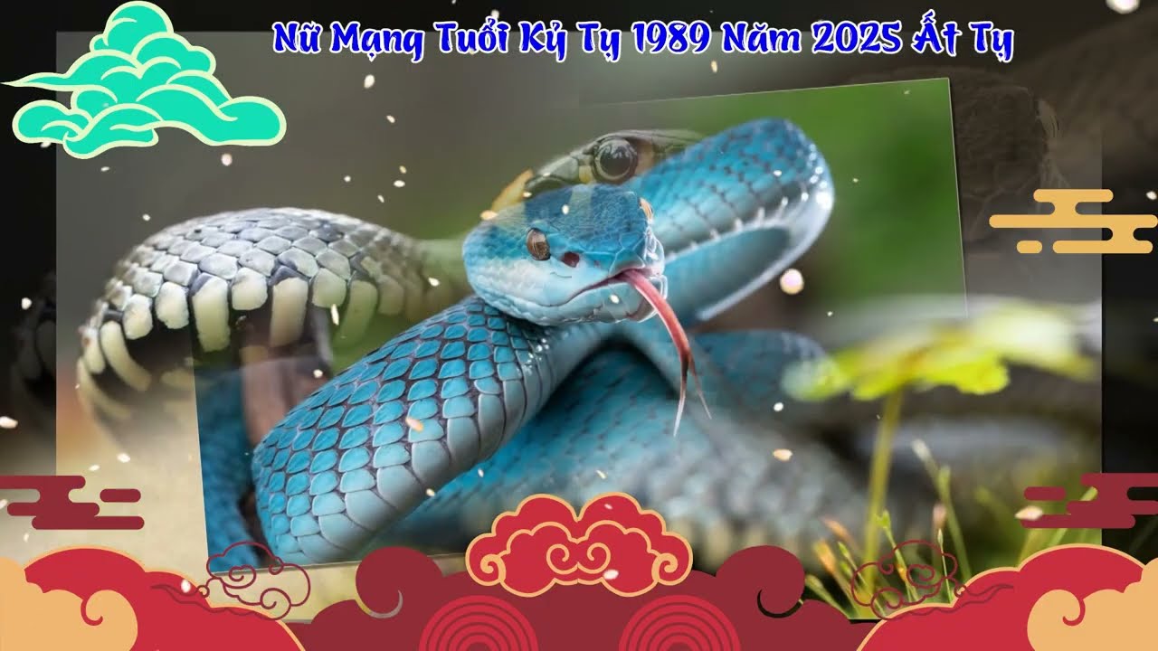 Kỷ Tỵ 1989 Năm 2024 - Sự Thay Đổi và Cơ Hội Trong Cuộc Đời