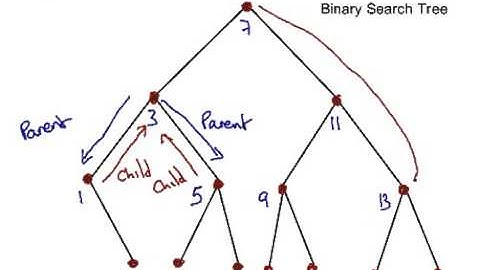 Graph Theory - Terminology for Trees