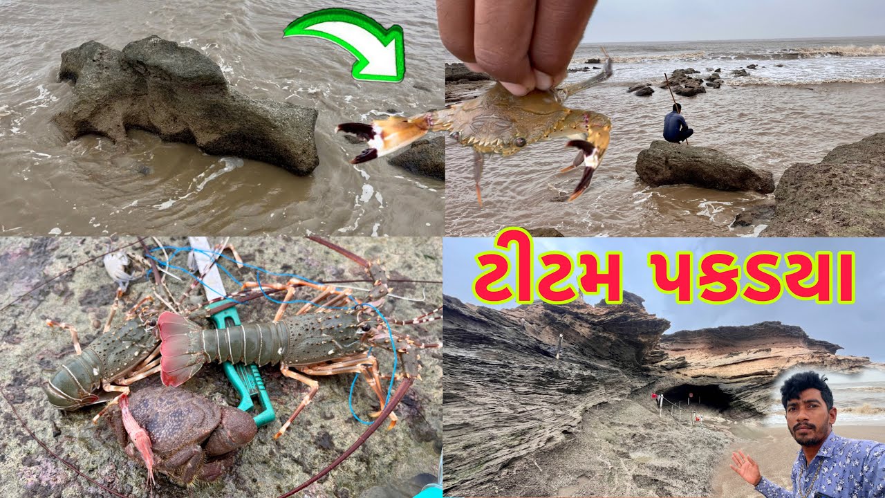 રત્નેશ્વર જીંગા દોરવા ગયા 🦞 lobster fishing 🦞 dariyai khedut @desirasoikathiyawadi