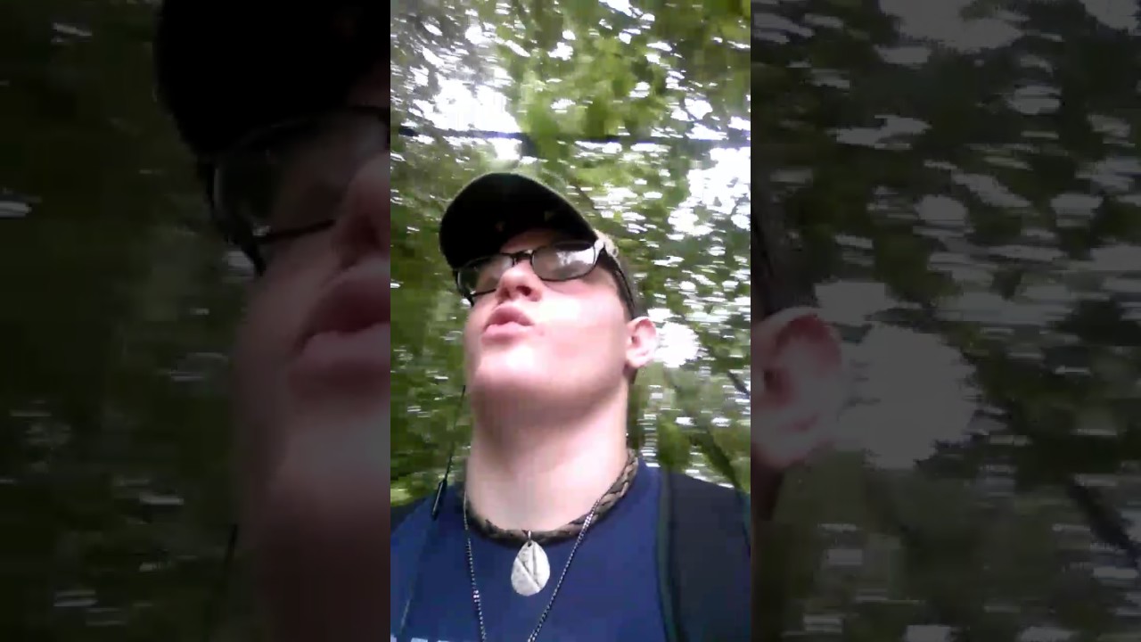 Out and about at the river