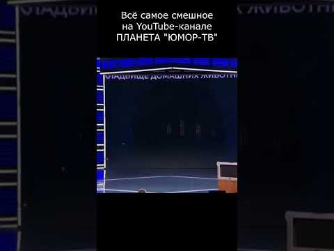 КЛАДБИЩЕ ДОМАШНИХ ЖИВОТНЫХ В ПРОСТОКВАШИНО I ПЛАНЕТА ЮМОР ТВ #юмор #приколы #шутки #вайны #смех #com