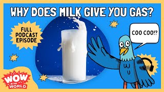 Why Does Milk Give Us Gas?  | Wow in the World | Kids Podcast Episode | Science for Kids