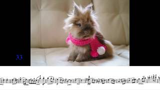 Salut d'Amour in D Maj (piano accompaniment only) - Edward Elgar