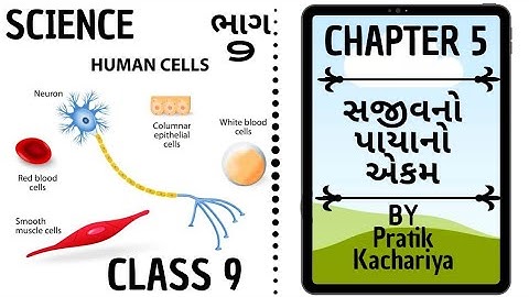 ભાગ 9 ॥ વિજ્ઞાન ॥ સજીવનો પાયાનો એકમ ॥Science ॥ Std 9 ॥ Chapter 5 ॥ Fundamental Unit Of Life ॥ NCERT