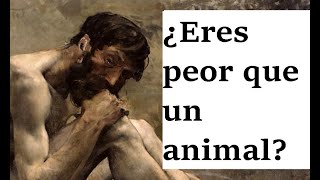 Un mensaje del perro filosófico sobre la decadencia humana