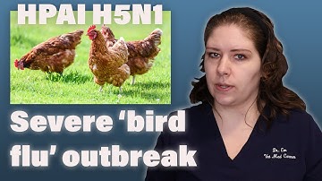 Current Outbreak of HPAI H5N1 | A Veterinarian Explains What You NEED to Know