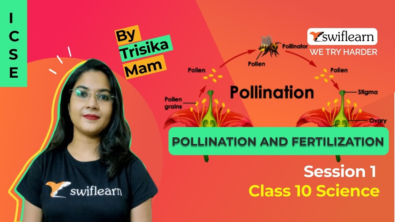 Pollination And Fertilization | ICSE Class 9 | Biology Online Classes ...