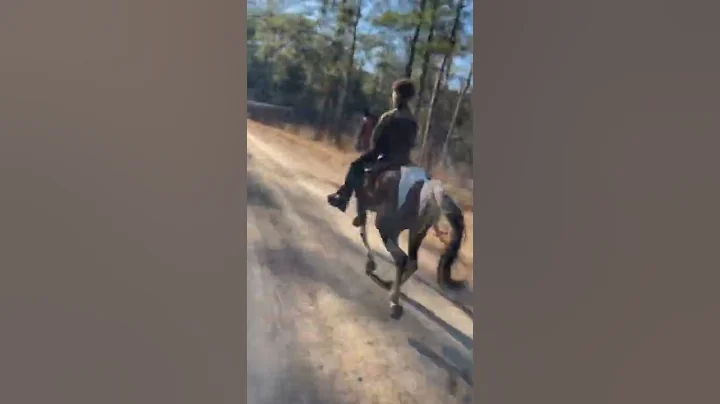 Big Es Dakota single footing