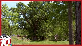 The story of two Revolutionary War soldiers killed near Geneseo during Sullivan's Expedition