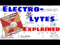 Understanding Electrolytes