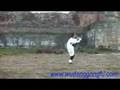 WuDang Kung Fu--8 Immortal Sword