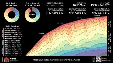 Bitcoin HODL Waves Animation (11/9/25 Update)