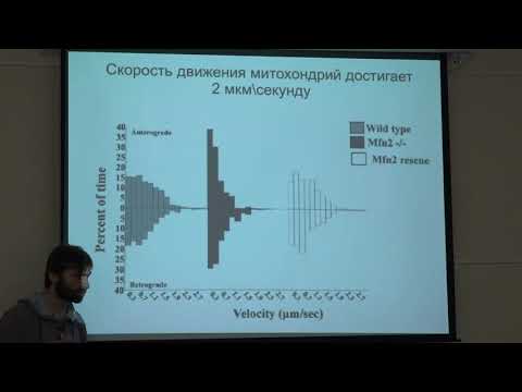 Кнорре Д. А. - Структура и функция митохондрий - Транспорт и контроль качества митохондрий