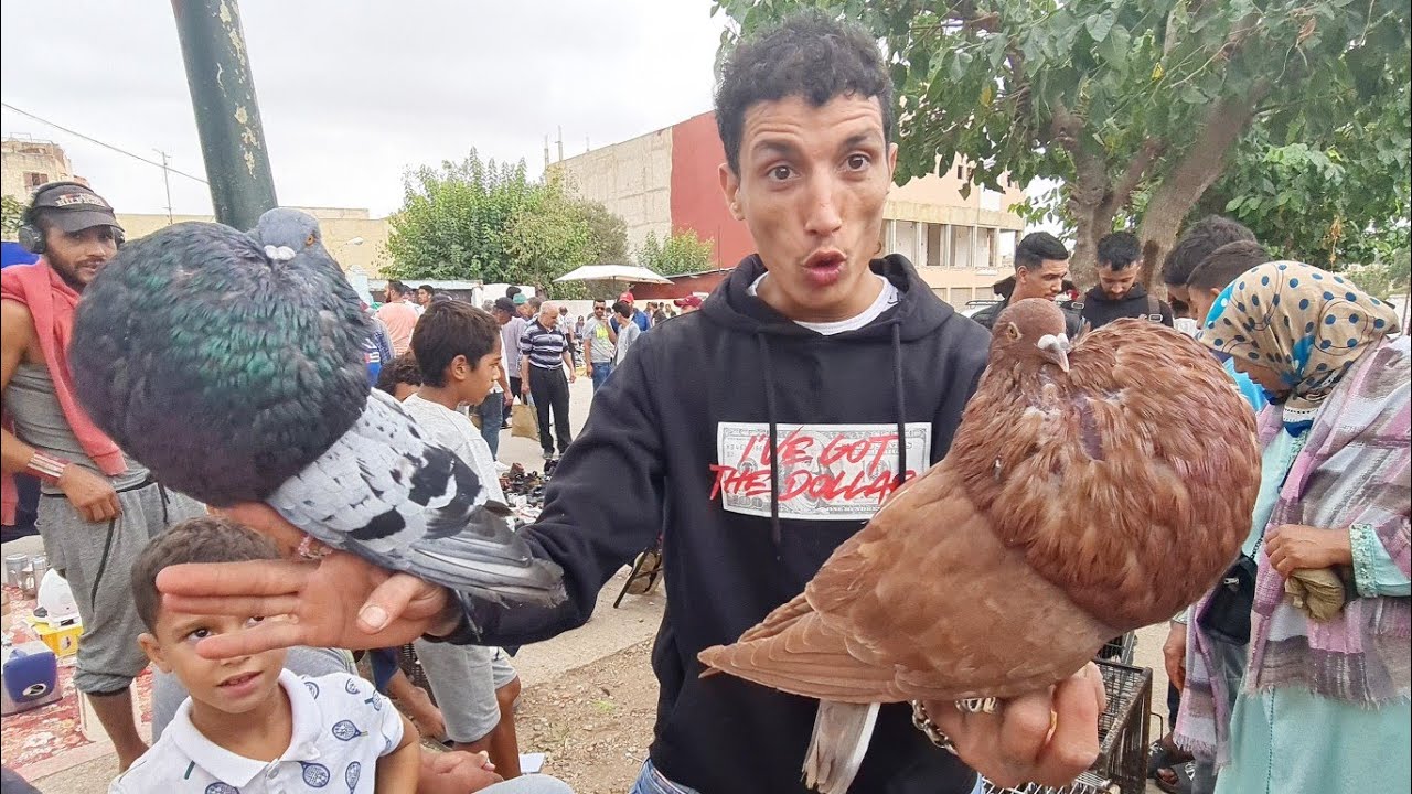 سوق الحمام مكناس باب جديد 2022/09/25