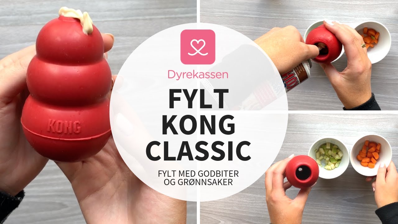 KONG Classic fylt | Dyrekassen.no -