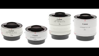 Canon Extender 1.4 x and 2x review